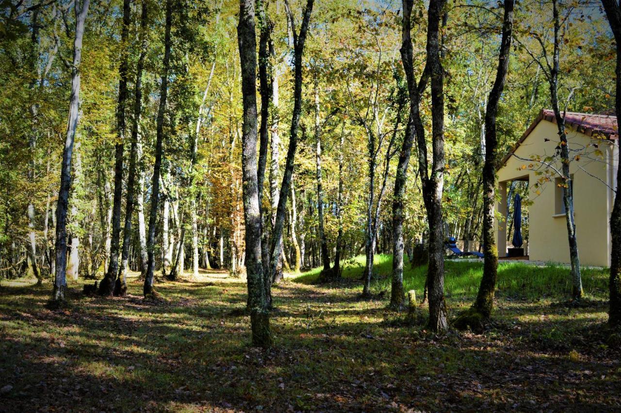 Gite Spa & Nature Saint-Chamassy Eksteriør billede